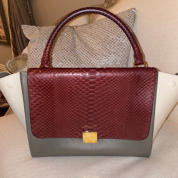 Celine medium Trapeze Python & Leather bag - Picture 1 of 8
